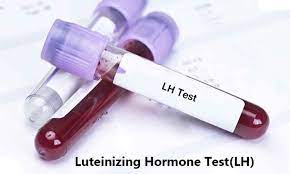 LH (Leutinising Hormone)
