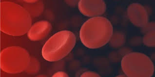AMENORRHOEA PANEL